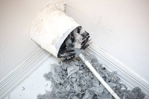 Best Mold and Mildew Removal from Ducts in Tickfaw, LA